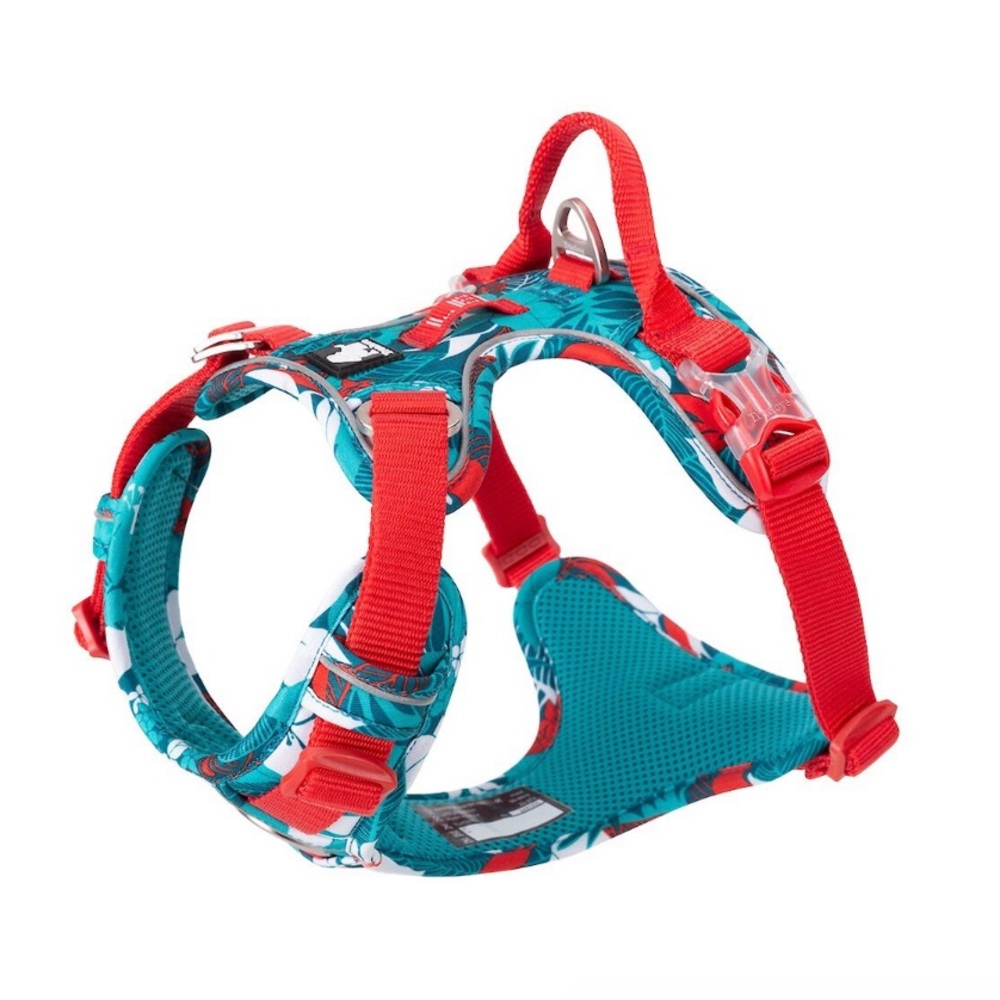 Chai’s choice dog harness